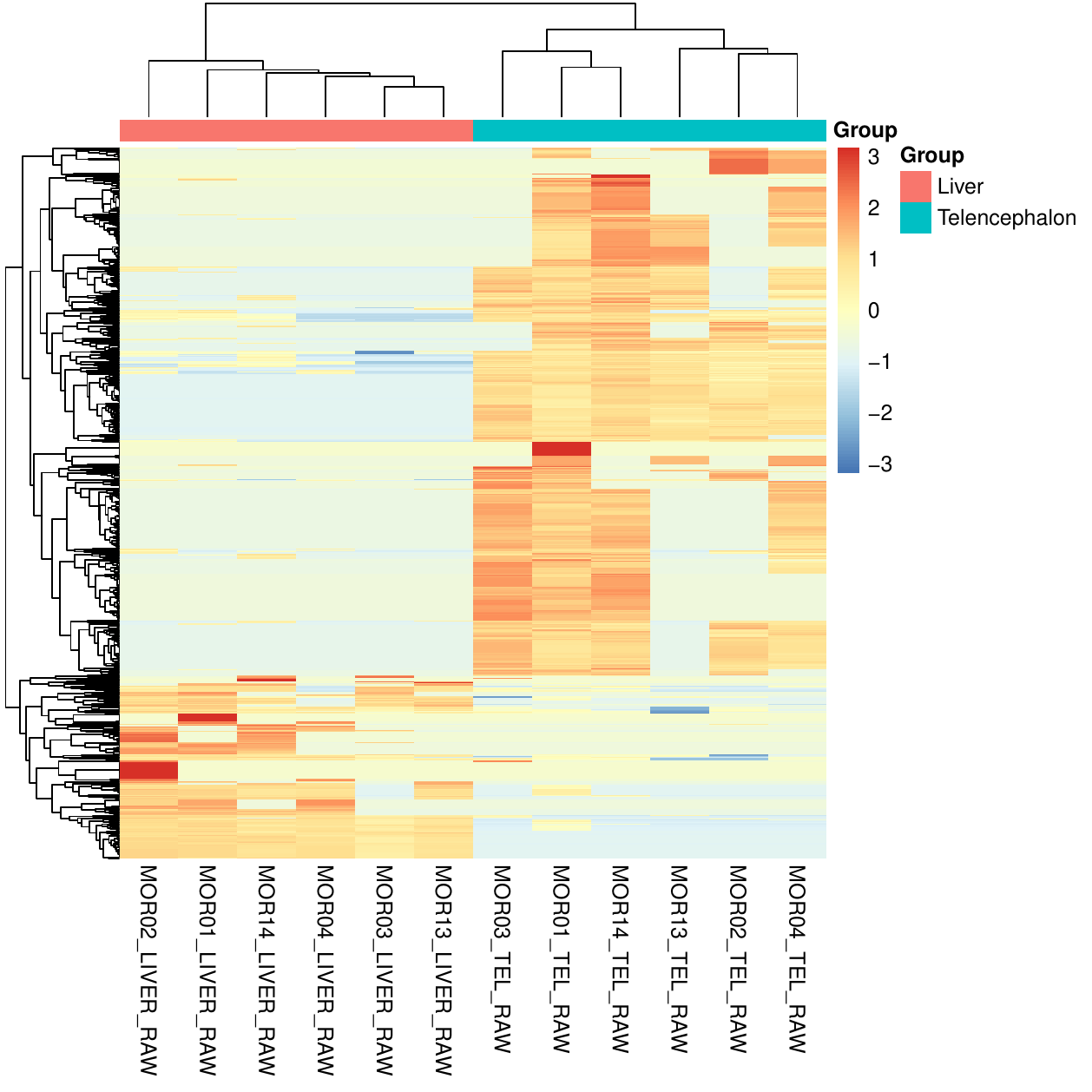 GO functional heatmap