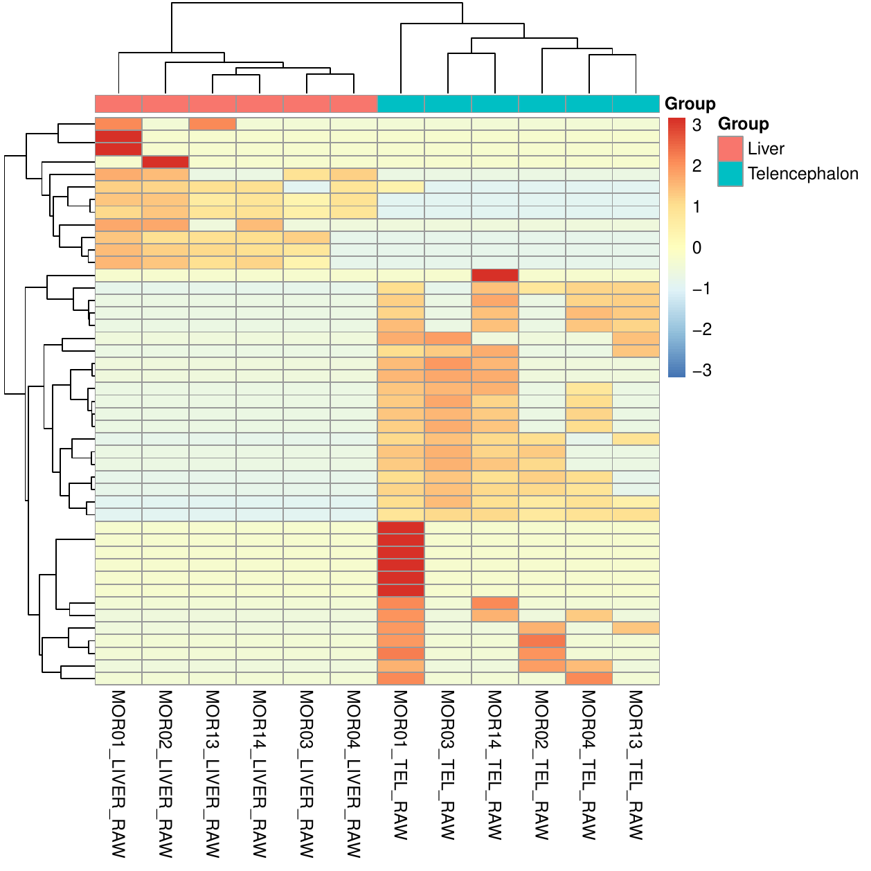KEGG functional heatmap