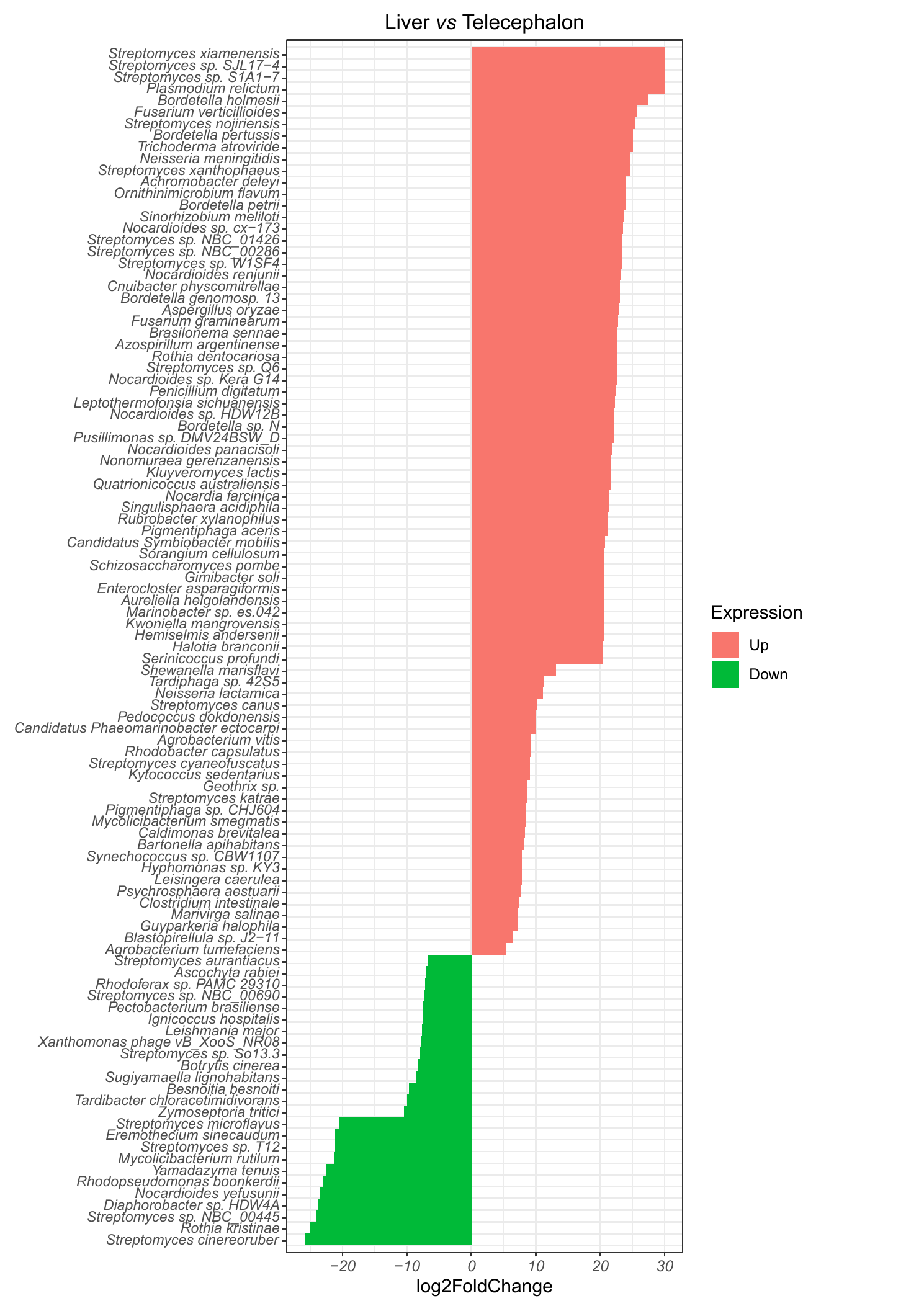 Host DEG bar plot preview