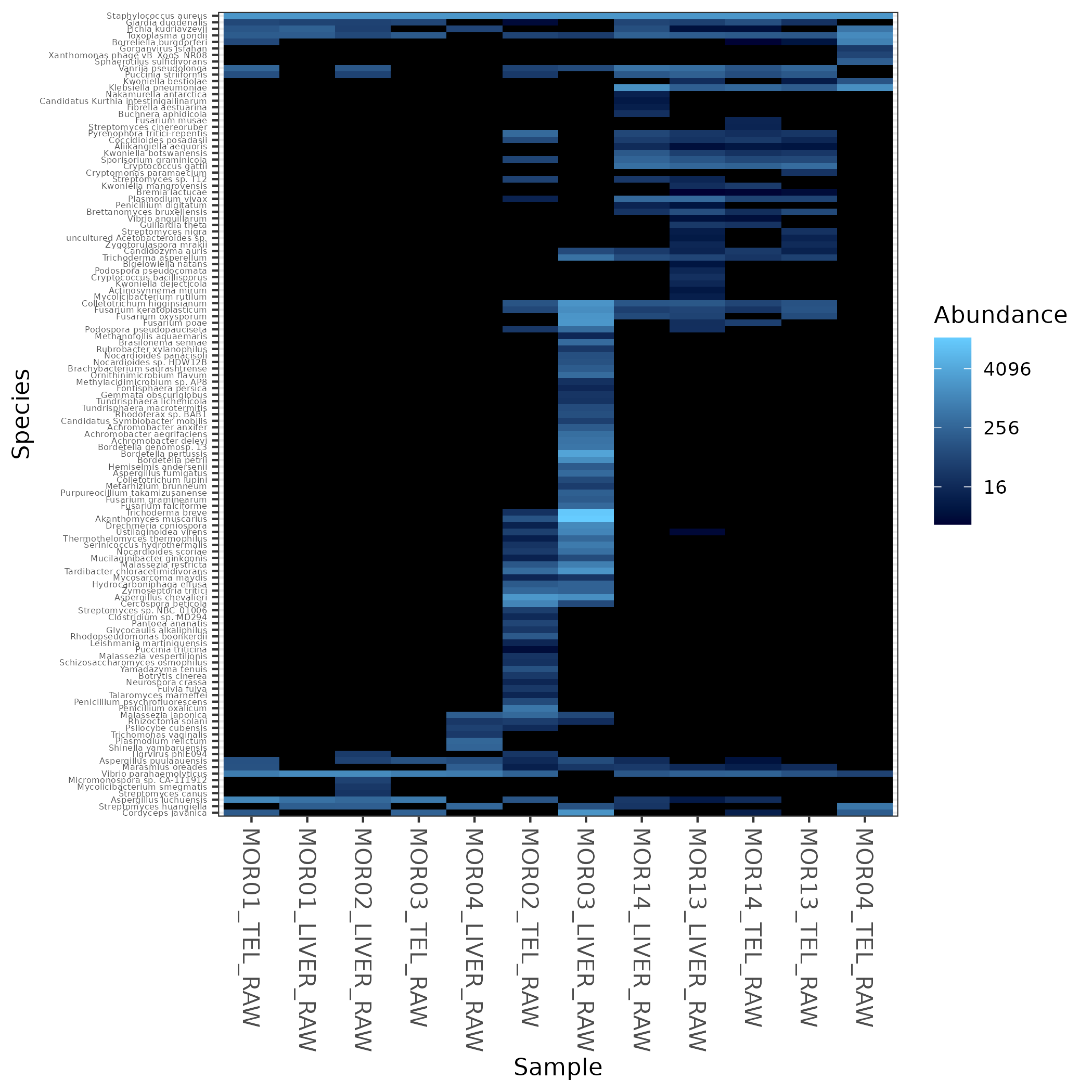 Microbiome comparison heatmap
