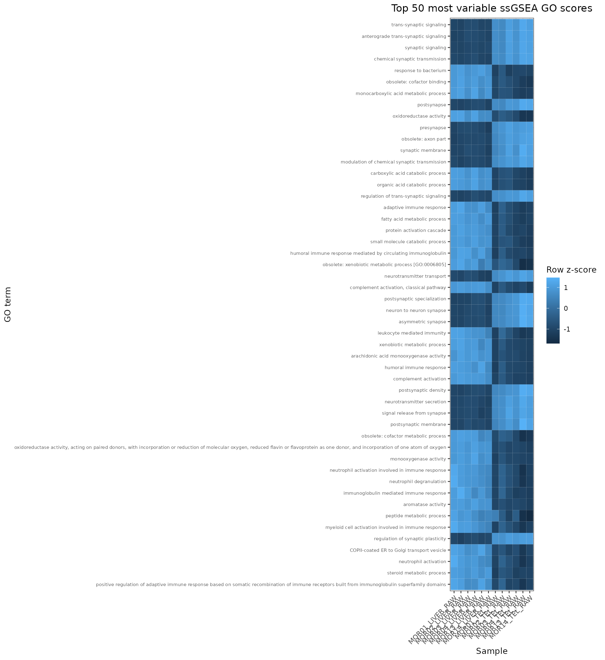 GO-name ssGSEA top variable heatmap