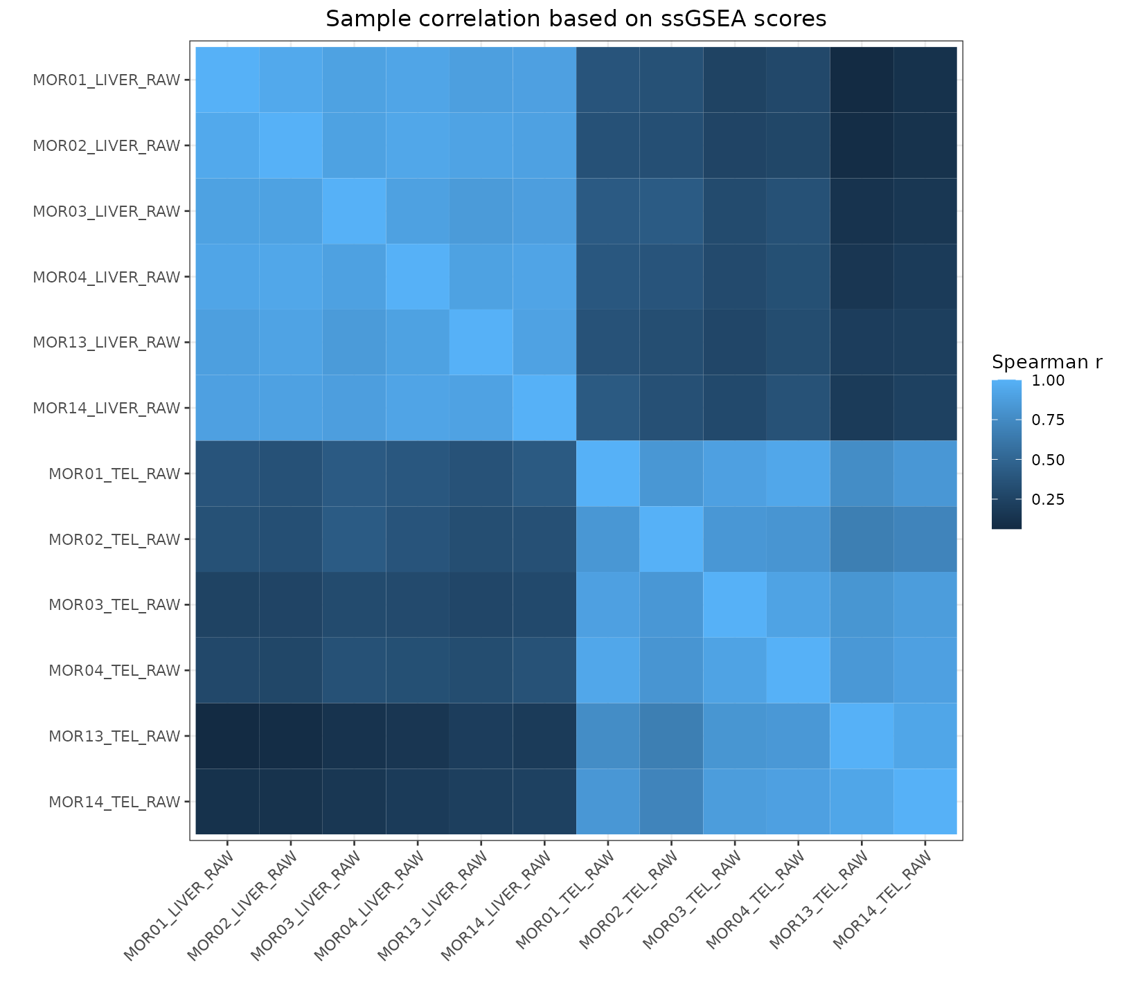 ssGSEA sample correlation heatmap