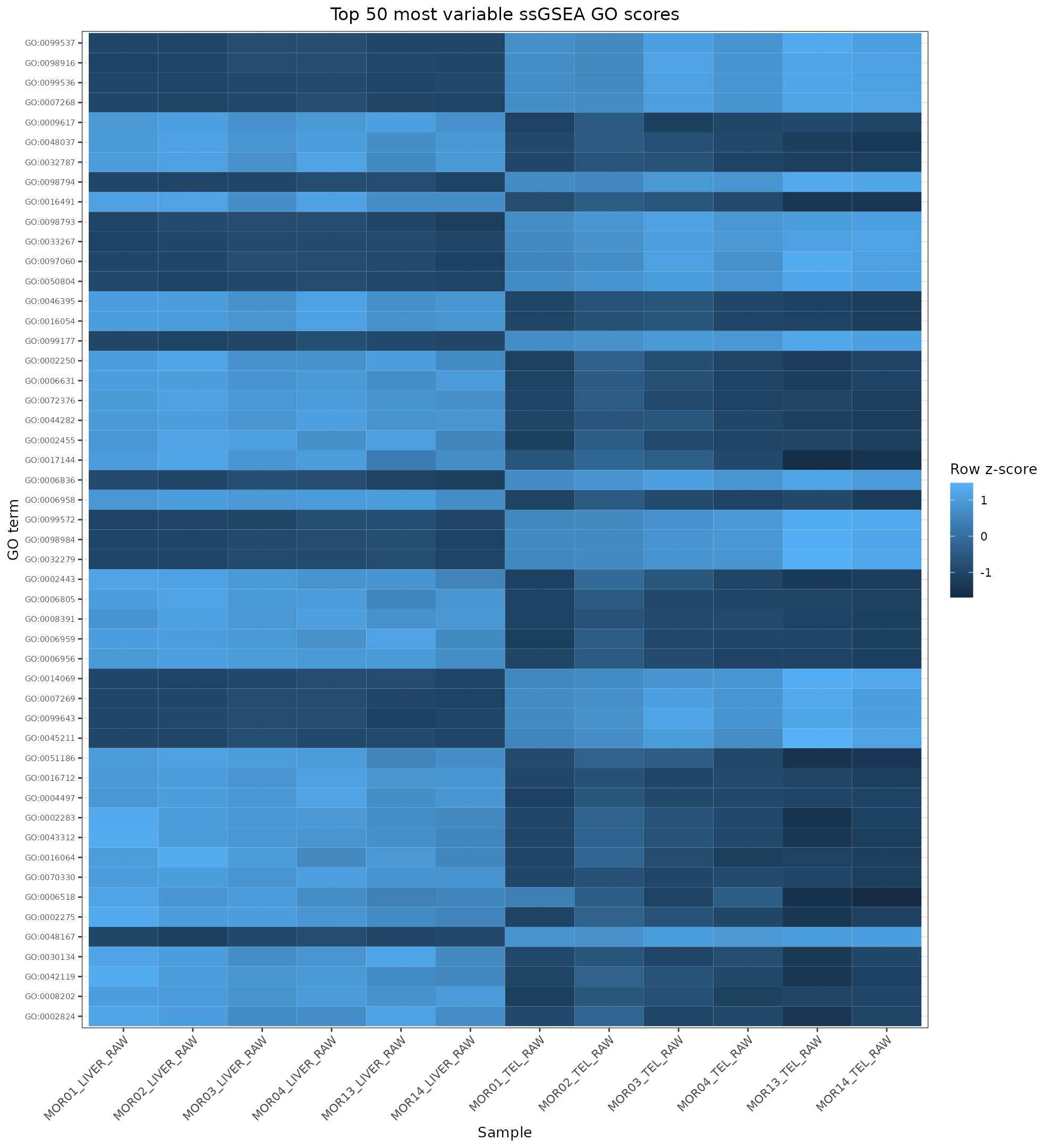 ssGSEA top variable heatmap