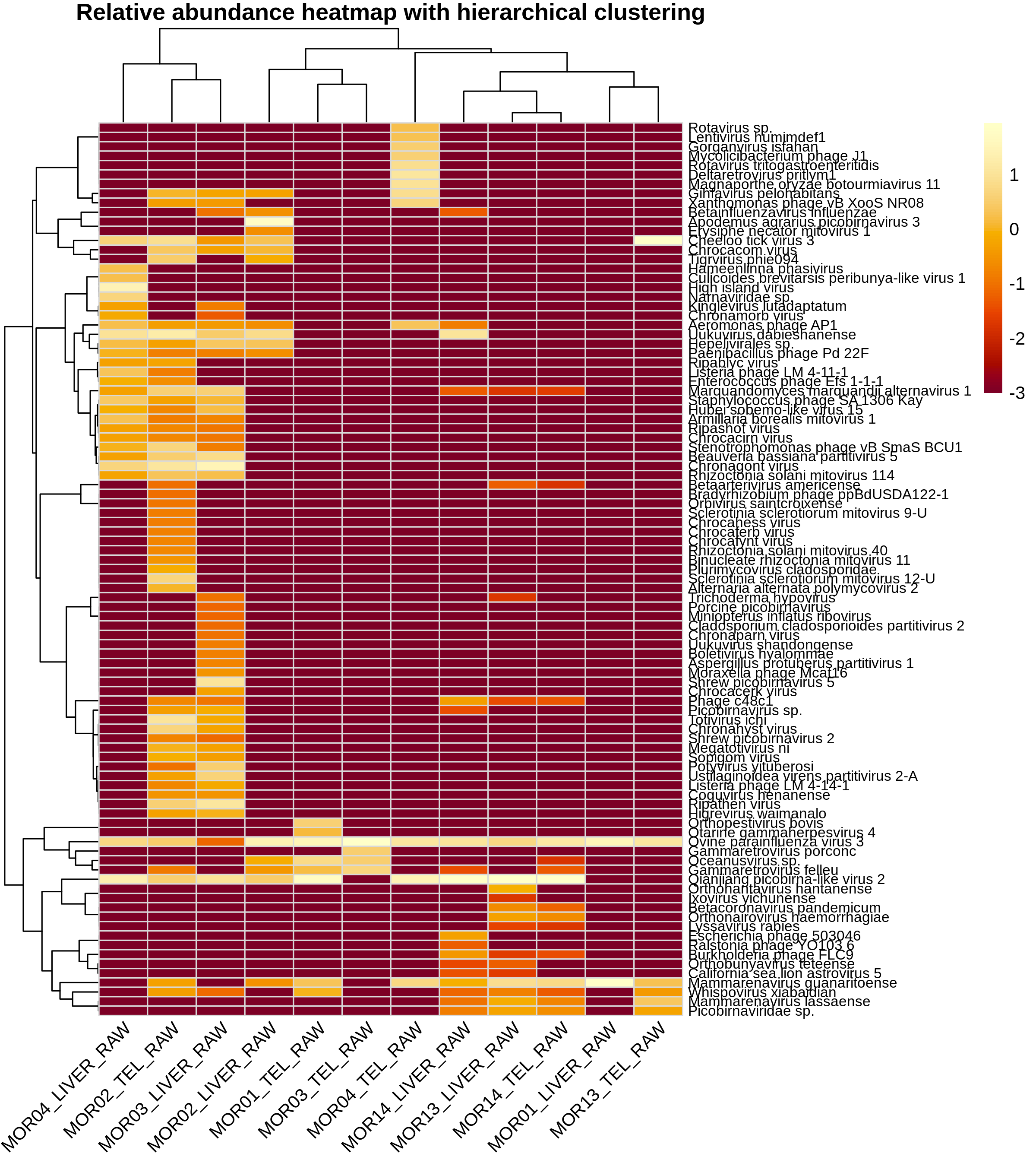 Relative abundance taxonomic heatmap