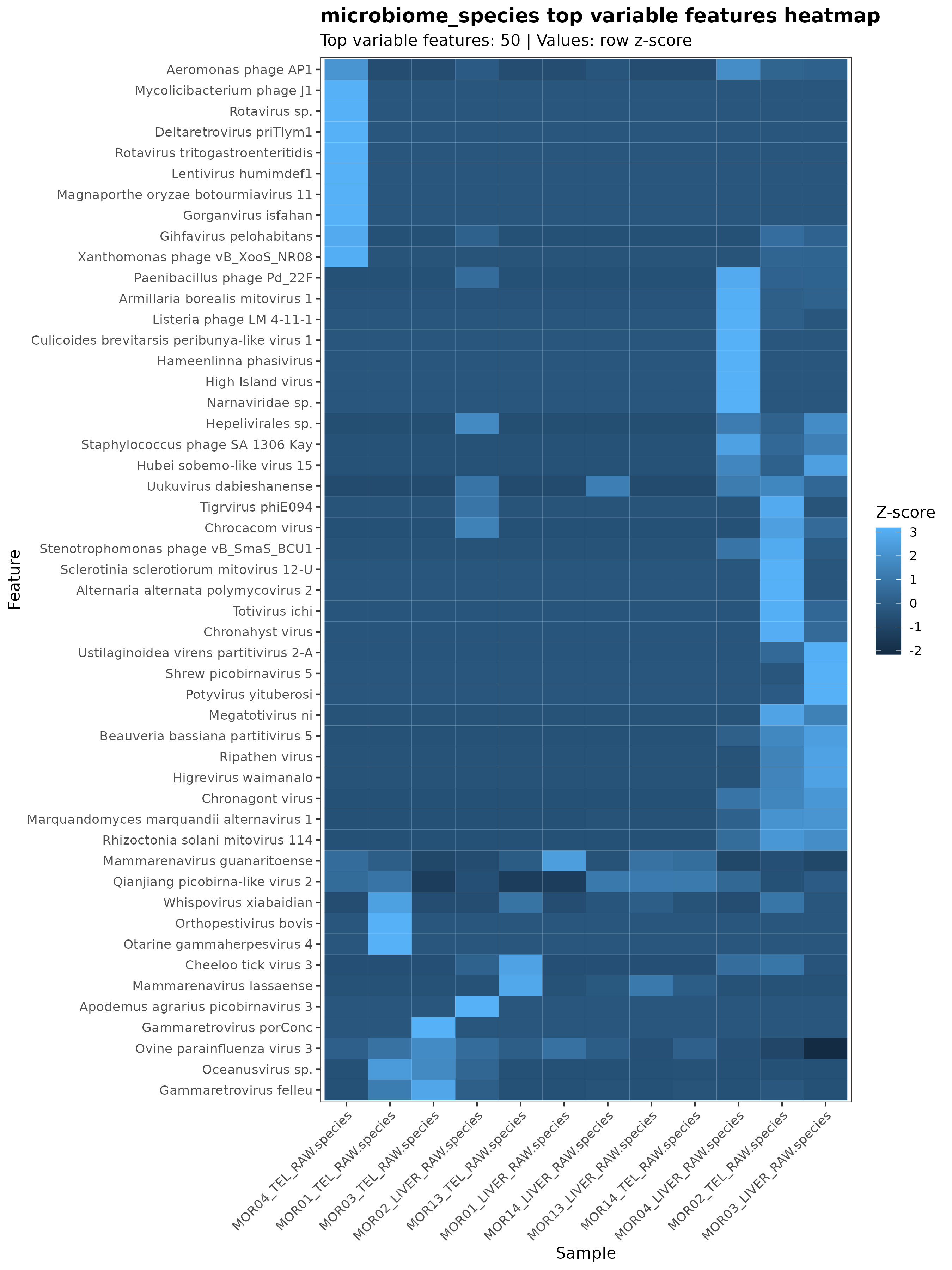 Microbiome top variable taxa heatmap